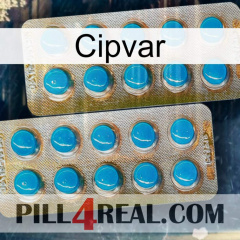 Cipvar new08